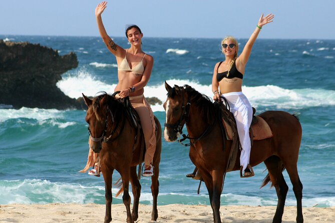 Aruba North Coastline: Small-Group Horseback Riding Tour - Who will enjoy this ride most