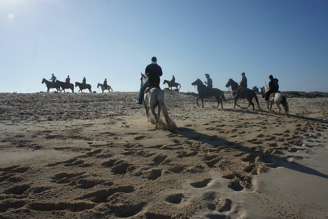 Aruba Private, 2 Hour Horseback Riding Tour For Advanced Riders - Riding beyond Aruba’s hotel strip