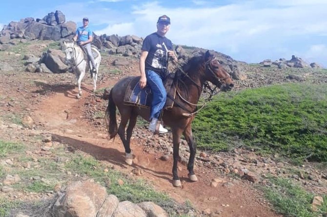 Aruba Private, 2 Hour Horseback Riding Tour For Advanced Riders - Is $285 per person a fair price?