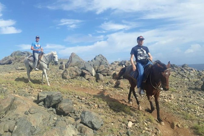 Aruba Private, 2 Hour Horseback Riding Tour For Advanced Riders - Who should book this ride?