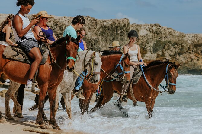 Aruba's Northern Coast Horseback Adventure - Key points at a glance