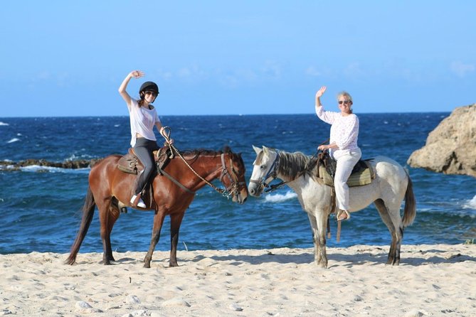Aruba's Northern Coast Horseback Adventure - What the horses and guides mean for beginners