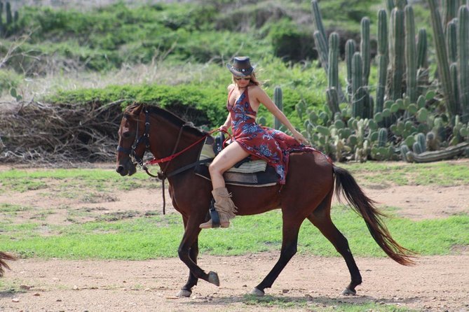 Aruba's Northern Coast Horseback Adventure - Price, pickup, and the time commitment