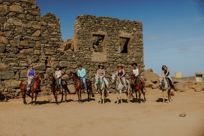 Aruba's Northern Coast Horseback Adventure - Who should book this ride
