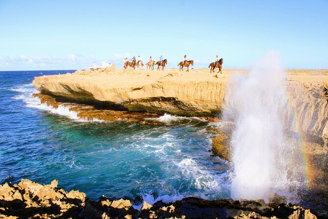 Aruba's Northern Coast Horseback Adventure - Ocean views, desert paths, and a few lively stretches