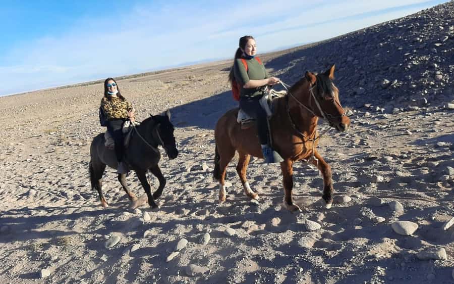 Atacama Desert: Horseback Adventure with Scenic Views - Key Points