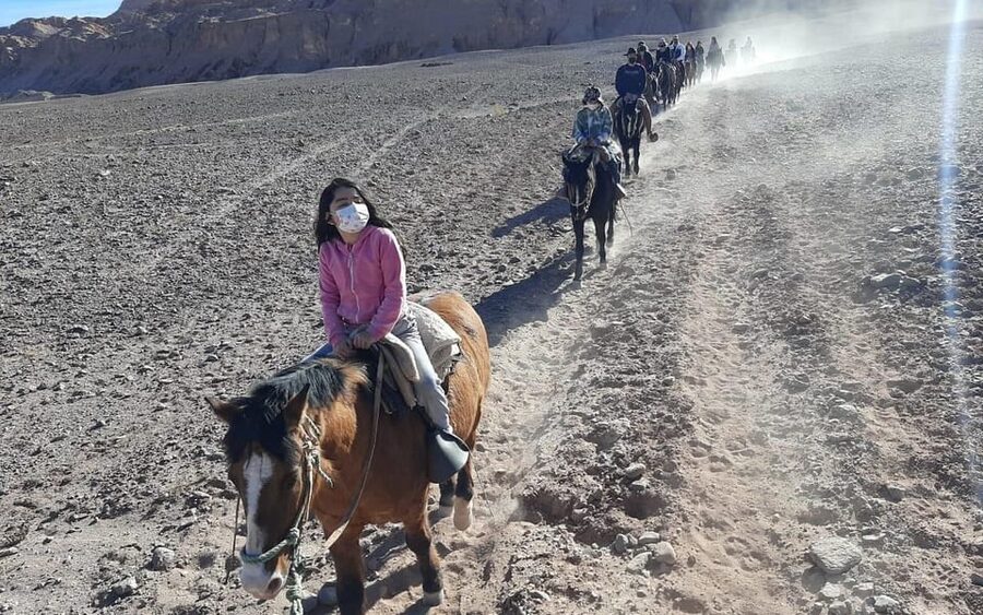 Atacama Desert: Horseback Adventure with Scenic Views - Who Will Enjoy This Ride Most?