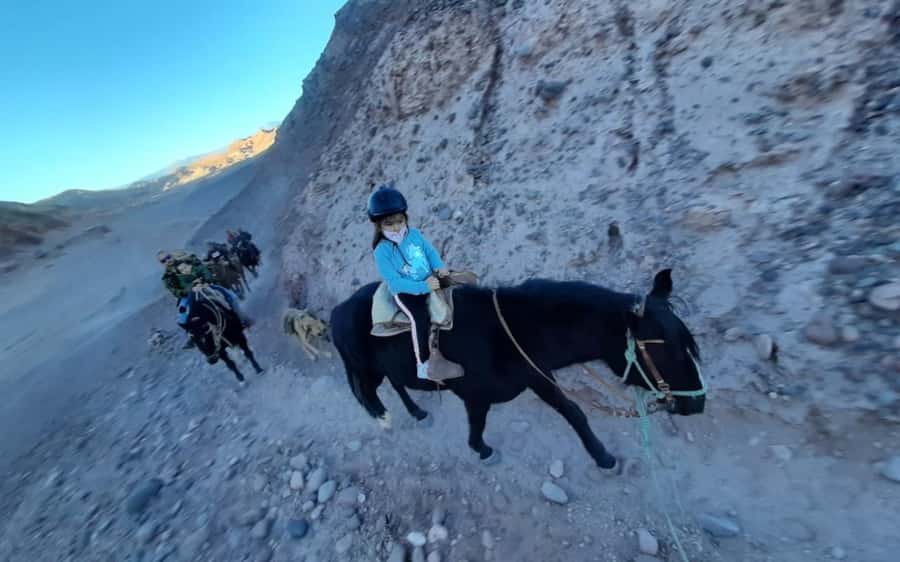 Atacama Desert: Horseback Adventure with Scenic Views - Dinosaur Valley and Fossilized Footprints