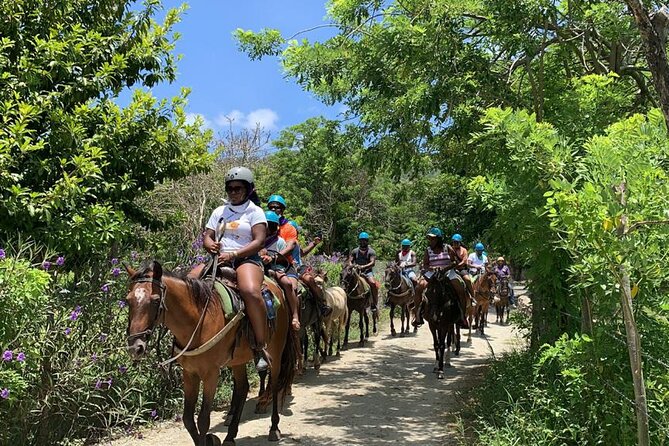ATV and Horse Riding in Puerto Plata / Shore Excursion & Hotel - Key points to know before booking