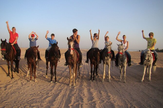 ATV horse stargazing - Key points to know before booking