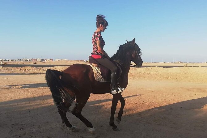 ATV Quad Bike Safari & 1 Hour Horse Riding - Sharm El Sheikh - Echo Valley and the simple fun of hearing your voice return