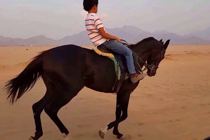 ATV Quad Bike Safari adventure Tour and Horse Riding 2 Hours - Sharm El Sheikh - Tea and local traditions at the Bedouin village