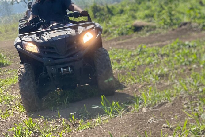 ATV, Zipline, Horseback, Bamboo Rafting and Rick’s Cafe - Ziplining with a patient crew