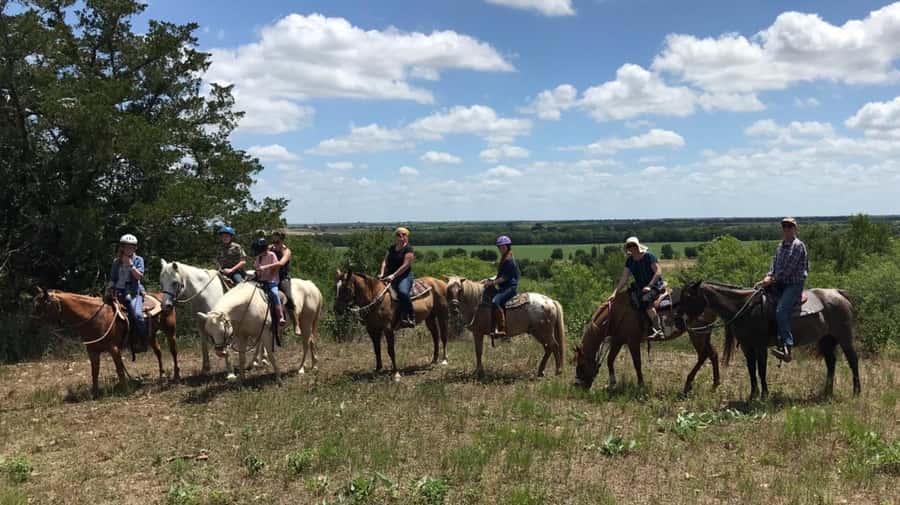 Austin: Maverick Horsemanship Trail Ride - Key points to know before booking