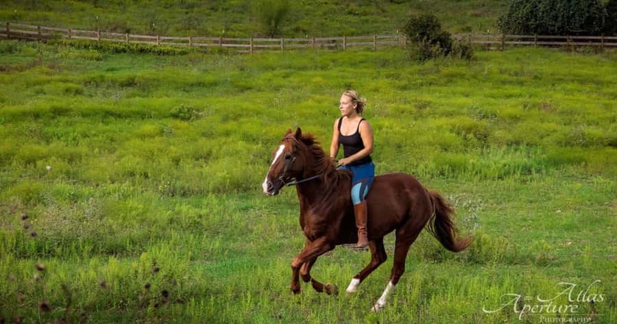 Austin: Maverick Horsemanship Trail Ride - A genuine riding lesson, not just a horse-shaped photo stop