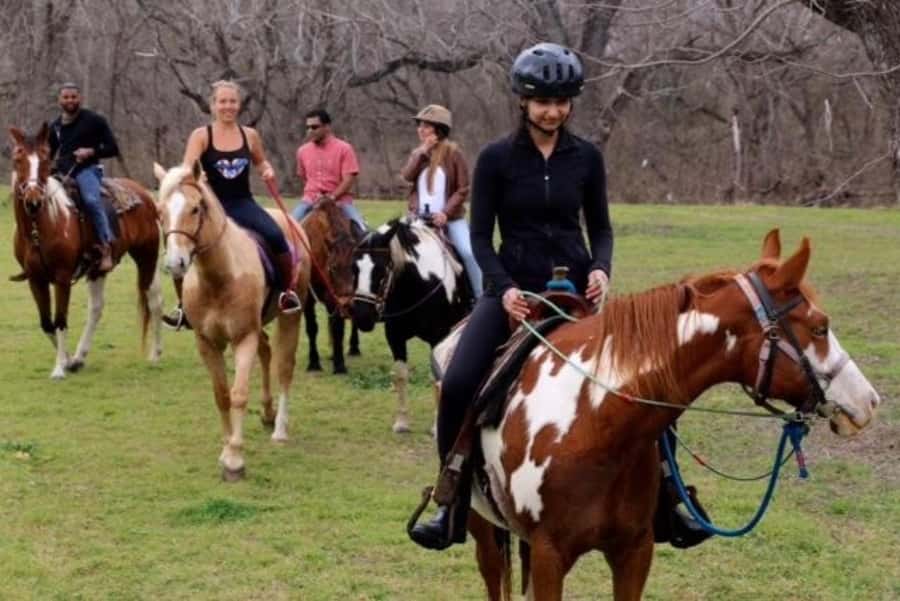 Austin: Maverick Horsemanship Trail Ride - Booking details that affect your day
