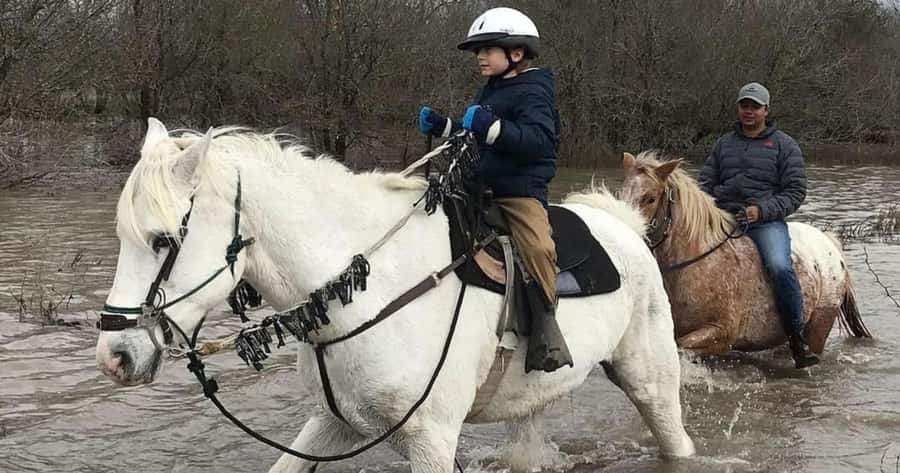 Austin: Maverick Horsemanship Trail Ride - Preparing at the ranch before you mount