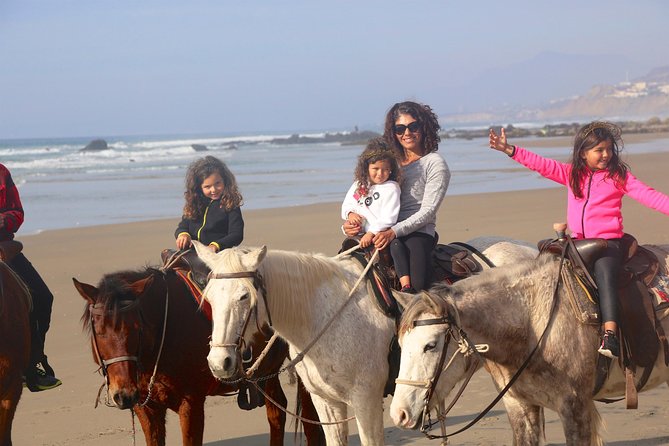 Authentic horseback riding in beautiful La Mision - Meeting the horses and finding your pace