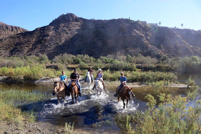Authentic horseback riding in beautiful La Mision - Photos, videos, and the ranch animals
