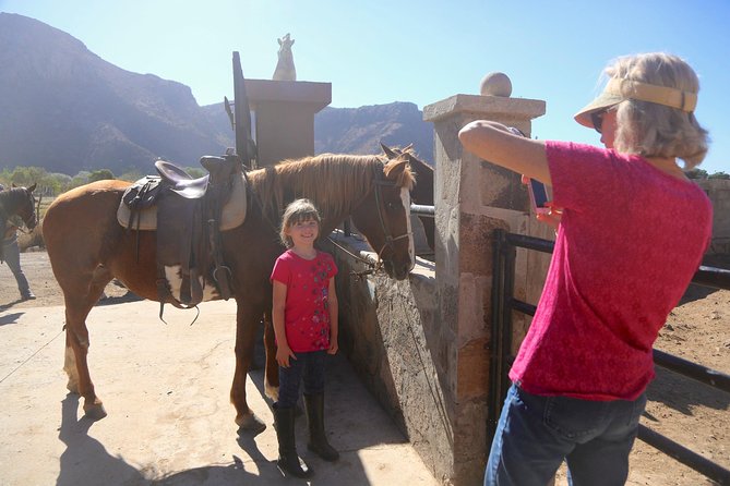 Authentic horseback riding in beautiful La Mision - Practical details before you book