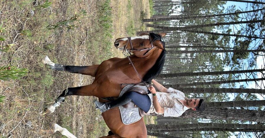 Aveiro: Horse Riding Experience with Instructor - Riding out from Colónia Agricola de Ílhavo
