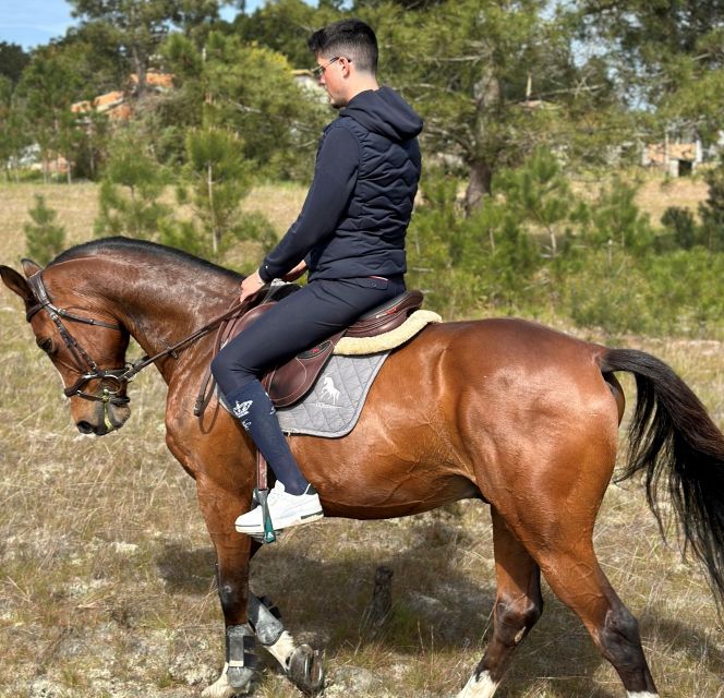 Aveiro: Horse Riding Experience with Instructor - The first few minutes: getting comfortable on horseback