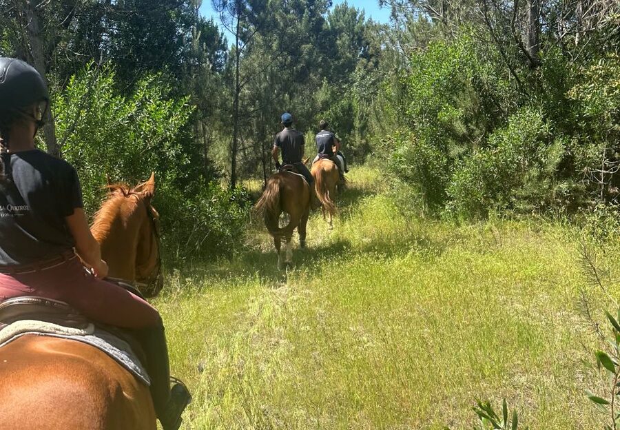 Aveiro: Horse Riding Experience with Instructor - What the setting adds to the ride