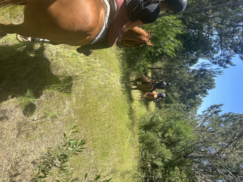 Aveiro: Horse Riding Experience with Instructor - Is $53 a fair price for one hour?