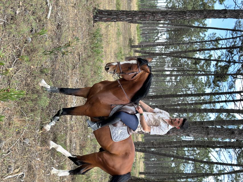 Aveiro: Horse Riding Experience with Instructor - Who will enjoy this experience most?