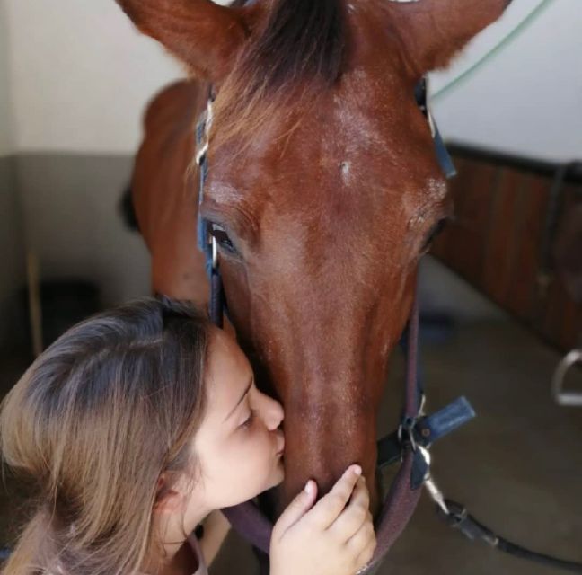 Aveiro: Horseback Riding at a Pedagogical Farm - FAQ