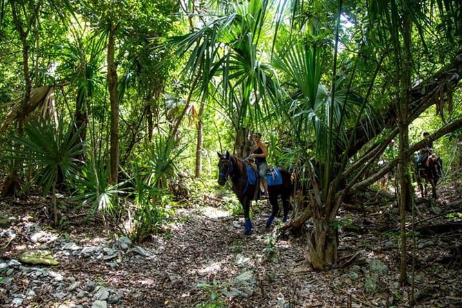 Award-winning Classic Horseback Ride (max. 6 riders) - The midway stop and Mayan remains