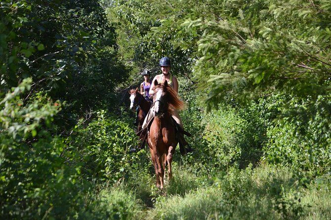 Award-winning Private Classic Horseback Ride - How the horse-matching process changes the ride