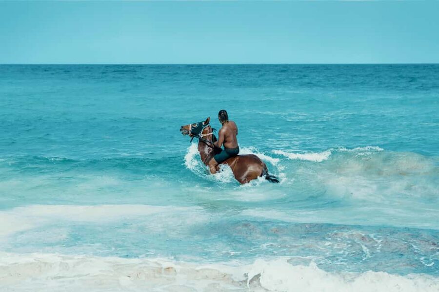 Bahamas: Nassau Horseback Riding on Beaches & Trails - Woodland trails offer a quiet start