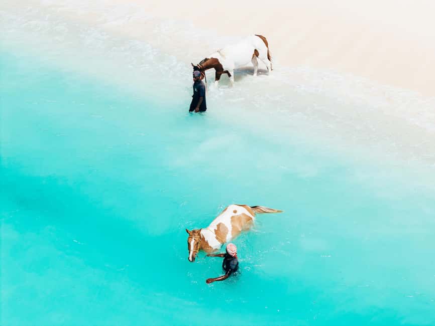 Bahamas: Nassau Horseback Riding on Beaches & Trails - The horse walks into shallow Caribbean water