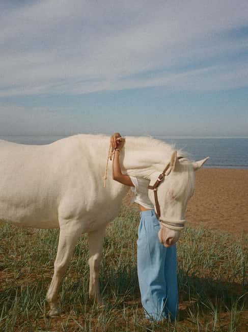 Bahamas: Nassau Horseback Riding on Beaches & Trails - Calm horses and relaxed guides help beginners