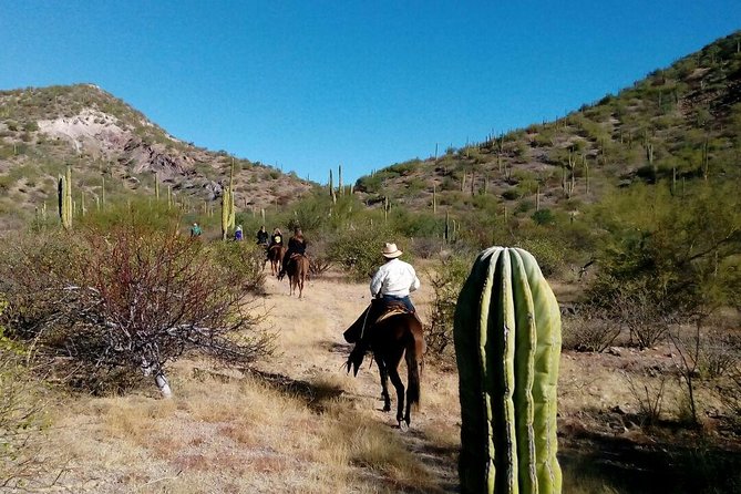 Baja Desert Horseback Riding Tour - A quiet ride into the Baja desert