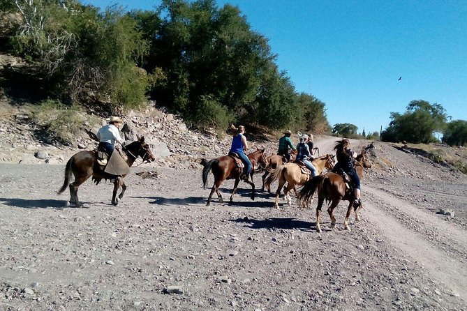 Baja Desert Horseback Riding Tour - Sierra La Giganta from the saddle