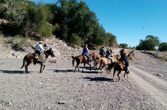 Baja Desert Horseback Riding Tour - A local break after the ride