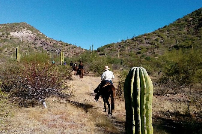 Baja Desert Horseback Riding Tour - What the $99 price covers