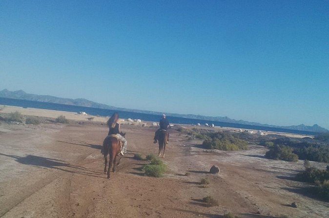 Baja Desert Horseback Riding Tour - Timing, weather, and cancellation