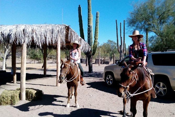 Baja Desert Horseback Riding Tour - What the horse handling is like