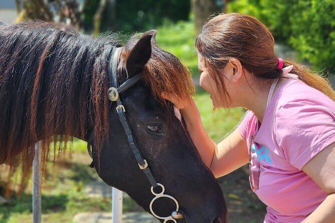 Bali Beach Horse Riding combo with waterfall All Inclusive - Practical planning for a smoother day