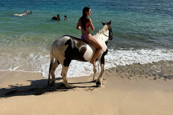 Bali Beach Horse Riding combo with waterfall All Inclusive - What to expect from your private pickup