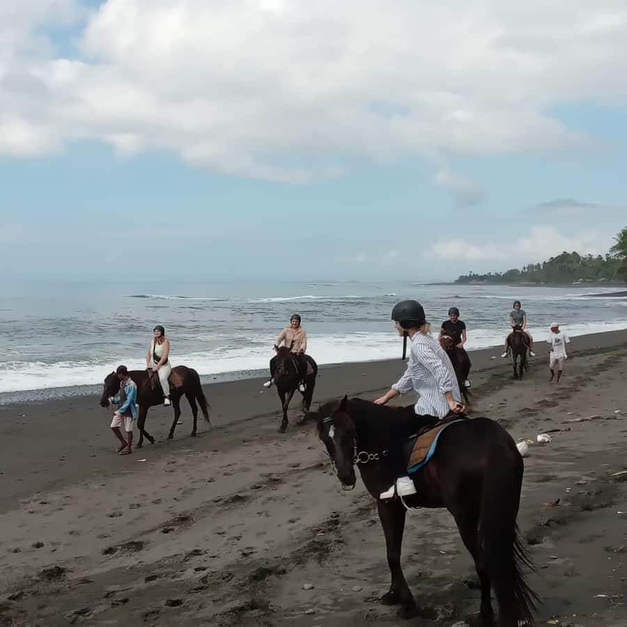 Bali Horse ride at Saba beach Horse tour - Who should book this Saba Beach ride