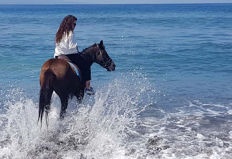 Bali Horse ride at Saba beach Horse tour - FAQ