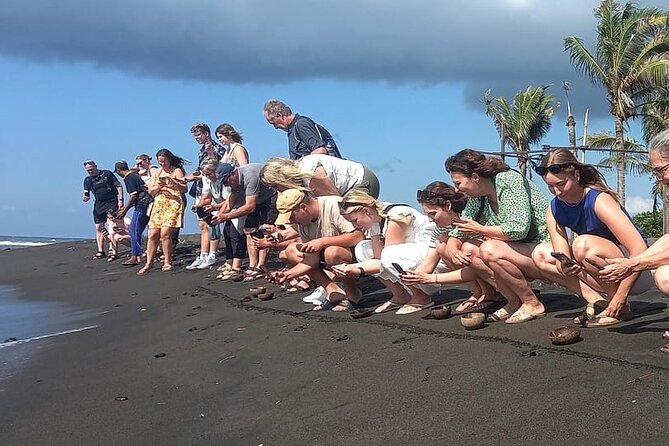 Bali Horse Riding and Turtle Release at Saba Beach - Why this eight-hour Bali day works