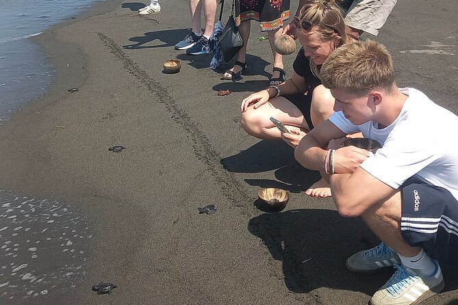 Bali Horse Riding and Turtle Release at Saba Beach - Guides, driving, and the private-tour advantage