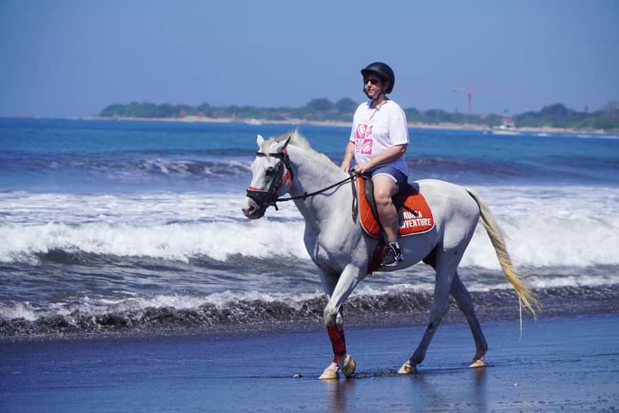 Bali: Horse Riding Experience in Sanur (1 Hour ride) - What beginners should expect from the horses
