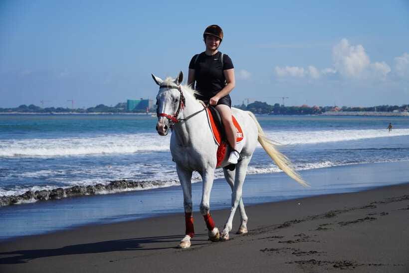 Bali: Horse Riding Experience in Sanur (1 Hour ride) - Price, group size, and what you receive