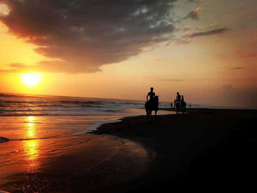 Bali: Horse Riding on Pigstone Beach and in the Rice Fields - Key points to know before booking
